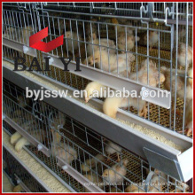 H type, 400 Oiseaux Capacité Poulet Eleveur Cage